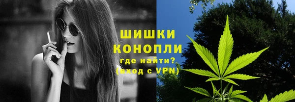 дурь Бронницы