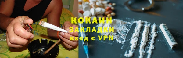 ПСИЛОЦИБИНОВЫЕ ГРИБЫ Верея