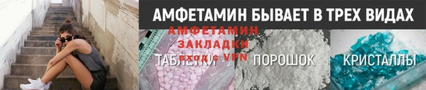 ПСИЛОЦИБИНОВЫЕ ГРИБЫ Верея