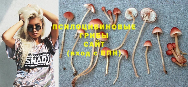 мяу мяу мука Верхний Тагил