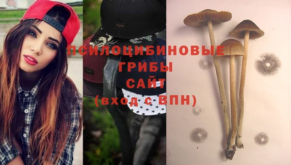 стафф Бугульма