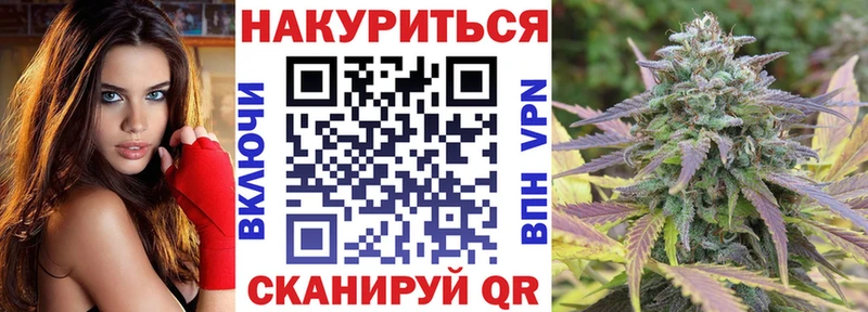 где купить наркотик  Карачаевск  Бошки Шишки THC 21% 